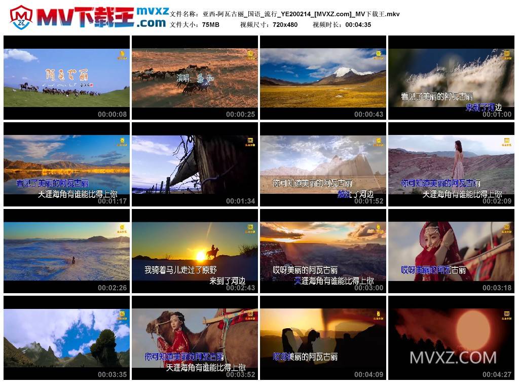 亚西-阿瓦古丽_国语_流行_YE200214